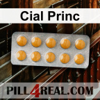 Cial Princ 642