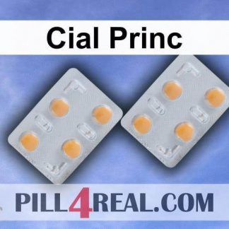 Cial Princ 755