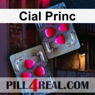 Cial Princ 849