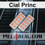 Cial Princ 864