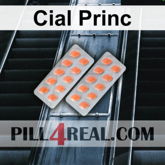 Cial Princ 864