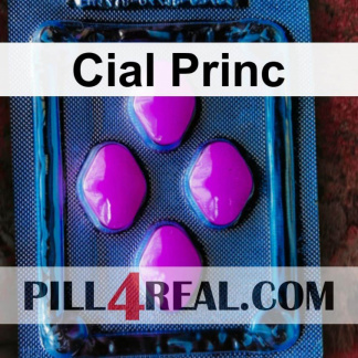 Cial Princ 884