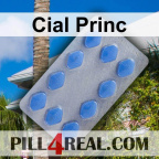 Cial Princ 981