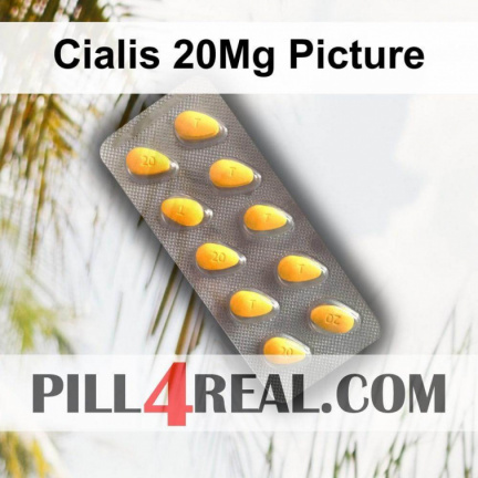Cialis 20Mg Picture 113
