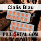 Cialis Blau 109