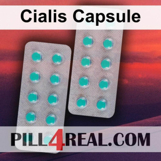 Cialis Capsule 690