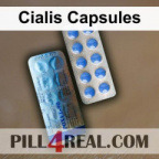 Cialis Capsules 504