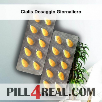 Cialis Dosaggio Giornaliero 882