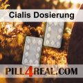 Cialis Dosierung 932