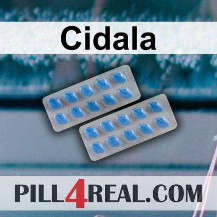 Cidala 151