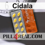 Cidala 194