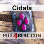 Cidala 391