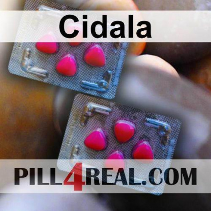 Cidala 426