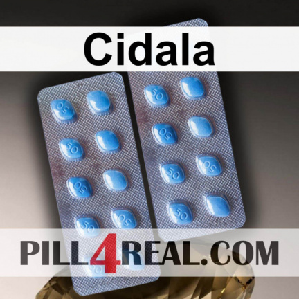 Cidala 435