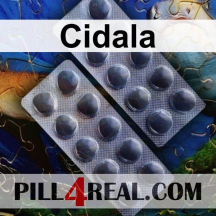 Cidala 521