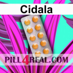 Cidala 546