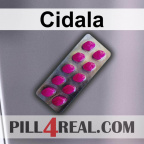 Cidala 586