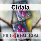 Cidala 594