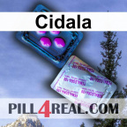 Cidala 610