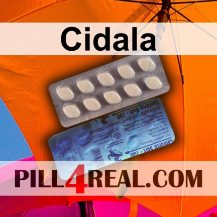 Cidala 799