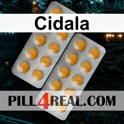 Cidala 894