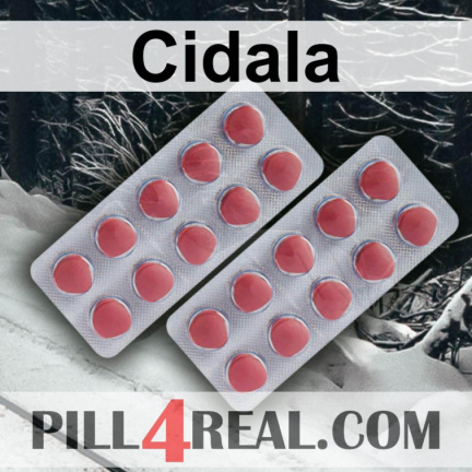 Cidala 955