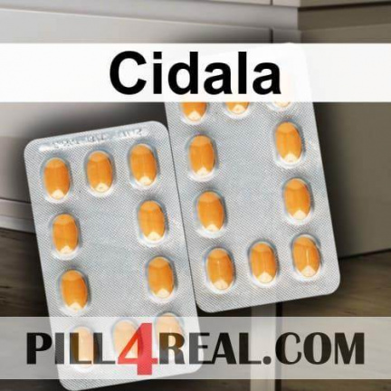 Cidala 958