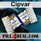 Cipvar 118