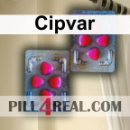 Cipvar 191