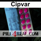 Cipvar 221