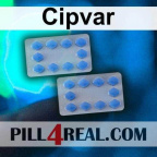 Cipvar 296