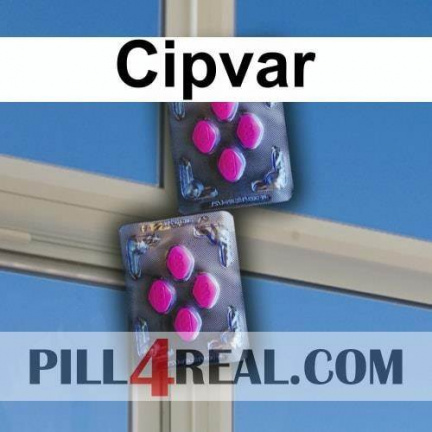 Cipvar 582