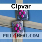 Cipvar 582