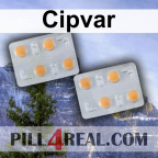Cipvar 754