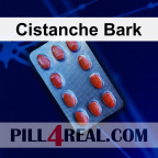 Cistanche Bark 052