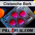 Cistanche Bark 413