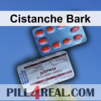 Cistanche Bark 538
