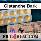 Cistanche Bark 617