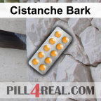 Cistanche Bark 635