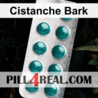 Cistanche Bark 645
