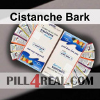 Cistanche Bark 656