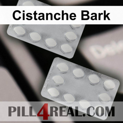 Cistanche Bark 698