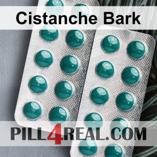 Cistanche Bark 764