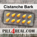 Cistanche Bark 780