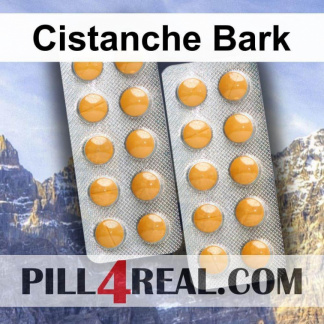 Cistanche Bark 786