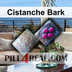 Cistanche Bark 865