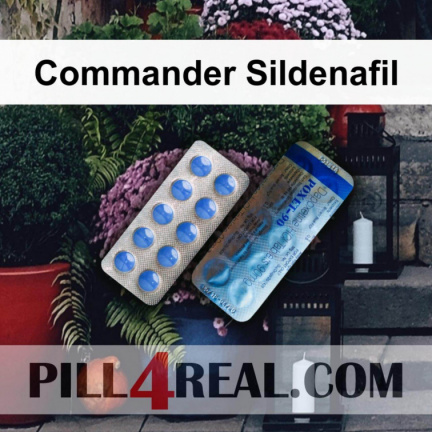 Commander Sildenafil 245