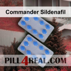 Commander Sildenafil 279
