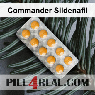 Commander Sildenafil 531