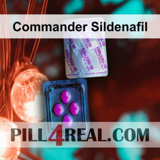 Commander Sildenafil 669